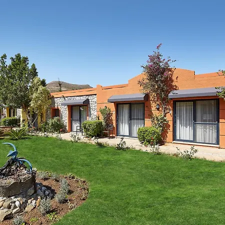 Fi Light Solto Boutique