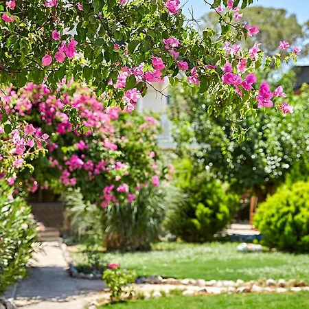 Fi Light Solto Boutique Selimiye (Aegean)