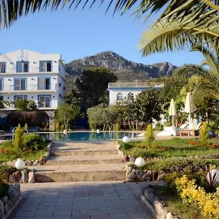 Fi Light Solto Boutique السليمية