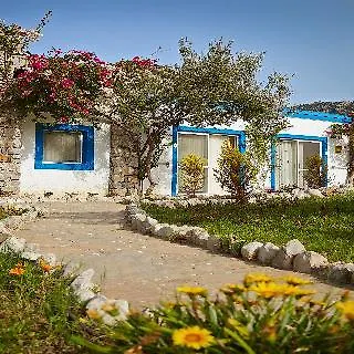 Fi Light Solto Boutique 4*