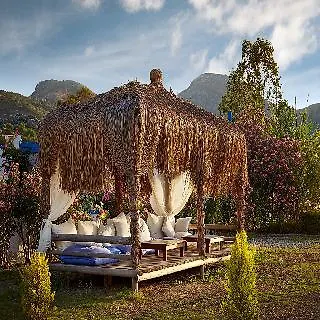 Fi Light Solto Boutique