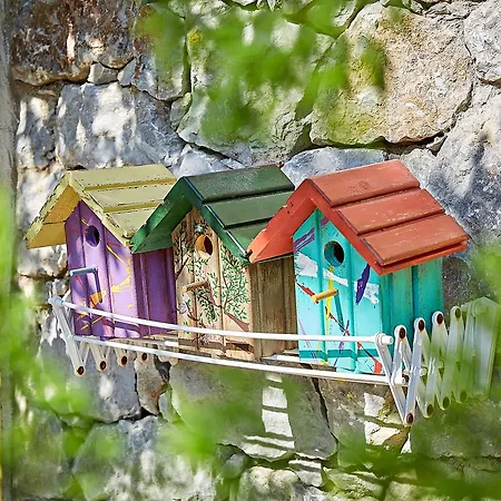 Fi Light Solto Boutique