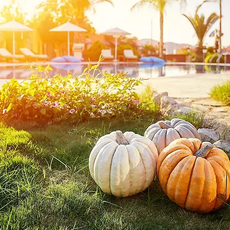 Fi Light Solto Boutique فندق السليمية