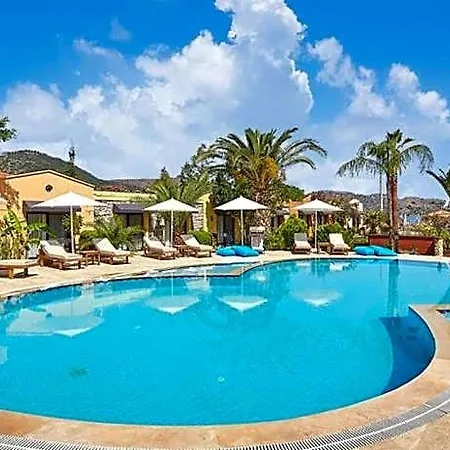 Hotel Fi Light Solto Boutique 4*