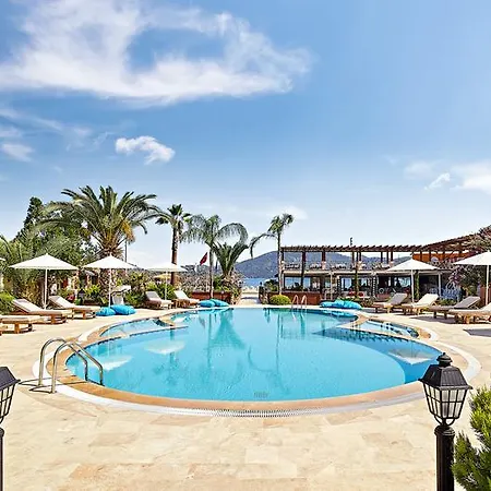 Fi Light Solto Boutique 4*